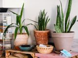 freestocks ONlnY8db8Ww unsplash
