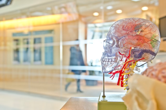 Czym zajmuje się neurochirurg