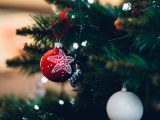 pexels freestocksorg 257909