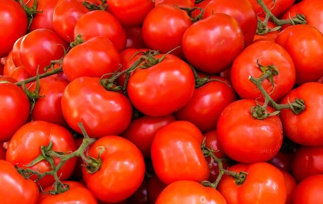 Jak powinna przebiegać efektywna uprawa pomidorów w doniczkach?