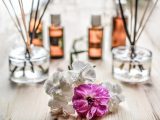 white and purple flower plant on brown wooden surface 161599